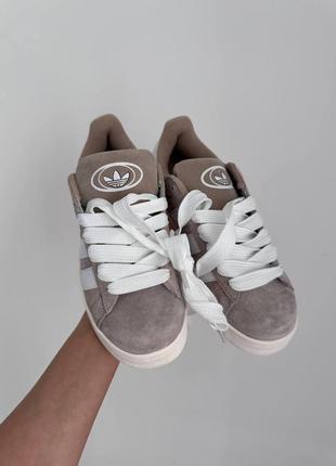 Жіночі кросівки adidas campus  beige/white