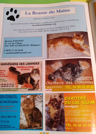 Журнал "atout chat"про котиків французькою мовою16 фото