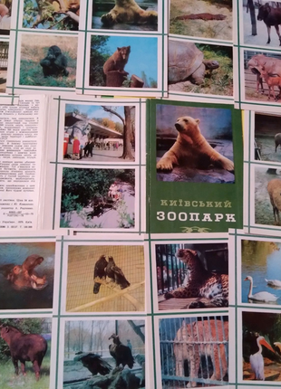 Набір листівок"київський зоопарк"вінтажний, 1976р.