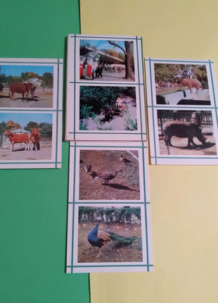 Набір листівок"київський зоопарк"вінтажний, 1976р.8 фото