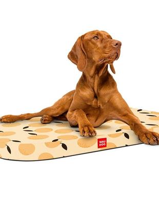 Лежанка для собак waudog relax, рисунок "апельсины", со сменным чехлом, м, ш 80см, дл 55 см3 фото