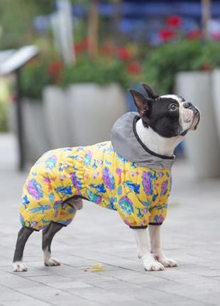 Комбинезон для собак waudog clothes рисунок "рик и морти 3", m35, в 59-62 см, с 37-40 см5 фото