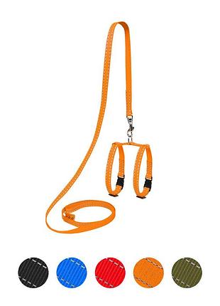 Шлея dog extreme нейлоновая регулируемая с поводком для мор.свинок, декор.крыс (ширина 10мм, длина 115см,