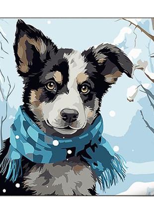 Картина за номерами strateg преміум собака в шарфі з лаком та з рівнем розміром 30х40 см (ss1103)