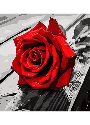 Картина за номерами strateg преміум червона троянда з лаком та з рівнем розміром 30х40 см (ss1143)