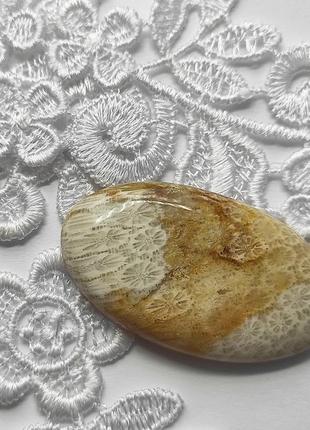 Скам'янілий корал - кабошон, натуральний камінь для  створення ювелірних прикрас 68 ct