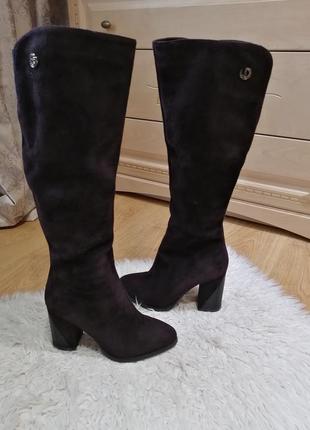 Жіночі сапоги fabio monelli