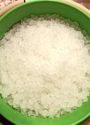 Індійський морський рис. рисовий гриб. для квасу