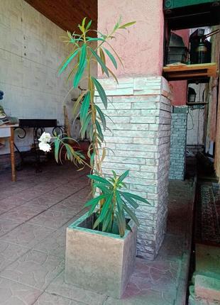 Ваза для рослин з бетону5 фото