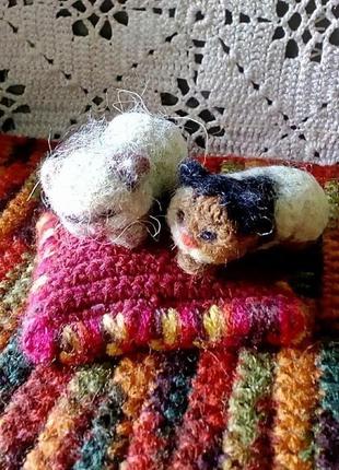 Кошечка кисюля 7