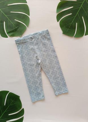 Лосины tu 9-12 мес