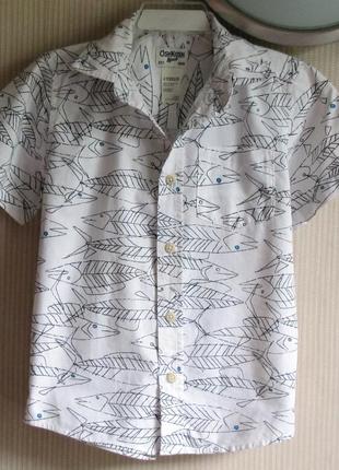 Брендовая рубашка из сша, от 3 до 6 лет2 фото