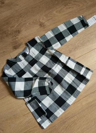 Кофта, туника, реглан 2т