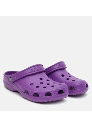 Шльопки , шльопанці crocs 🇺🇲 laren  clog k1 27-28 розмір2 фото