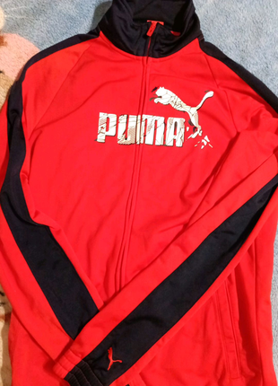 Puma original