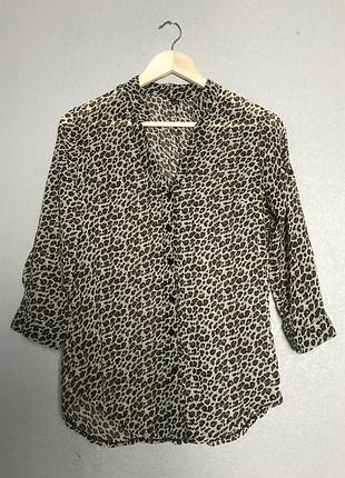 Леопардова сорочка