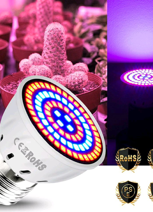 Фіто лампи е27