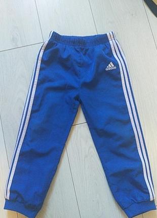 Штани adidas