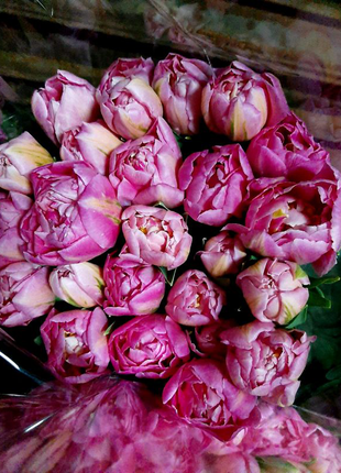 Зріз тюльпана до 8 березня. квіти.18 фото