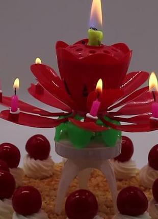 Тюльпан свічка в торт музична3 фото