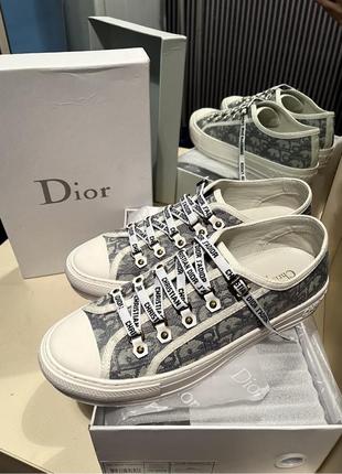 Кеди dior