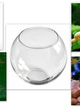 Купуйте маленький світ шпакових жаб (3 шт.) з круглим акваріумом