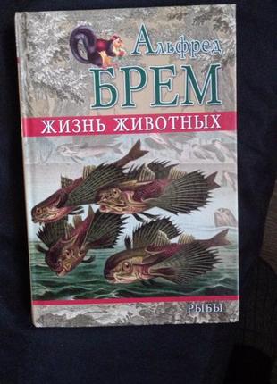 Альфред брем життя тварин риби 2008