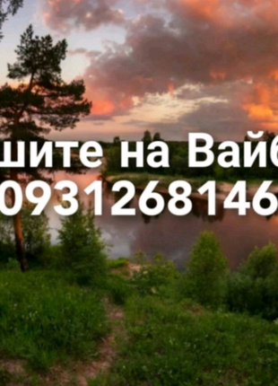 Клітка будинок будиночок нова для гризунів, щурів, хом'яків2 фото