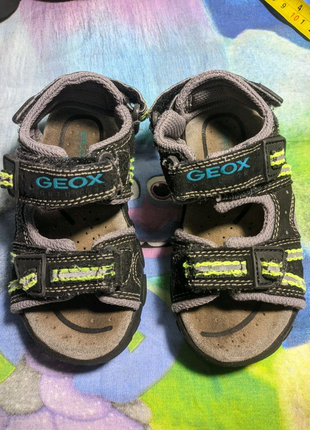 Босоножки сандали geox кожаные 25р. 16см .1 фото