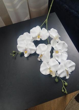 Латексные орхидеи2 фото