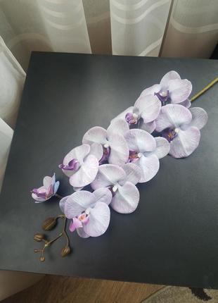 Латексні орхідеї6 фото