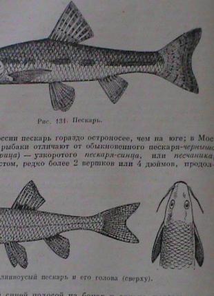 Книга сабанєєва життя і ловля прісноводних риб