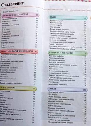 Великолепная энциклопедия животныхмахаон, 2005 г. 255с. илл. сери3 фото