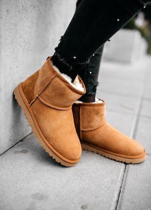 💎ugg w classic mini chestnut💎угги женские замшевые с мехом