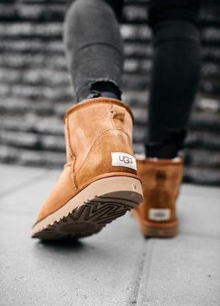 💎ugg w classic mini chestnut💎угги женские замшевые с мехом3 фото