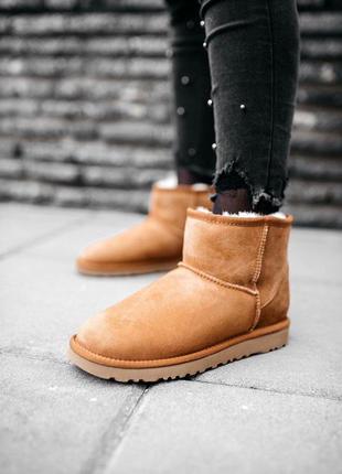 💎ugg w classic mini chestnut💎угги женские замшевые с мехом9 фото