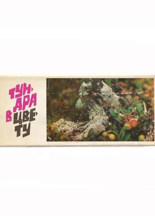 Набор открыток тундра в цвету 17 шт. 1973