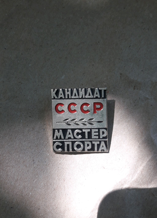 Значок срср кандидат