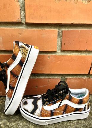 Дитячі кеди vans x project cat