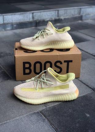 Adidas yeezy boost 350 v2 “antlia”