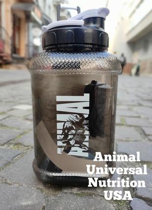 Бутылка для воды animal от universal nutrition Ausa 1.9 л