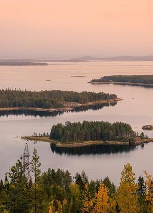 Готель для собак