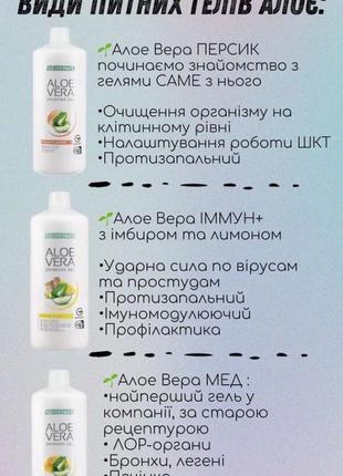 Lr lifetakt питьевой гель aloe vera со вкусом персика.4 фото