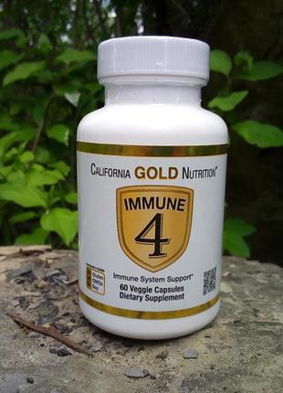 Комплекс вітамінів для імунітету immune 4 в 1 60порцій4 фото