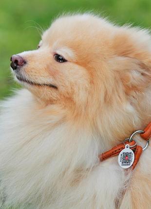 Шлея з повідцем для собак шкіряна waudog soft з qr паспортом, кругла, д 6 мм, а 42-60 см, в 46-64 см4 фото