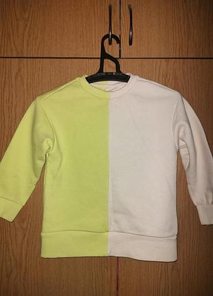 Фірмовий світшот