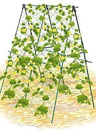 Сетка садовая для огурцов4 фото