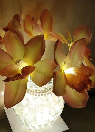 Світяться квіти орхідеї з led-підсвічуванням