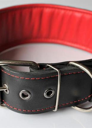 Кожаный ошейник для собак "lockdog" с заклепками черно-красный7 фото
