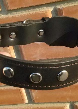 Кожаный ошейник  для собаки "lockdog" с заклёпками2 фото